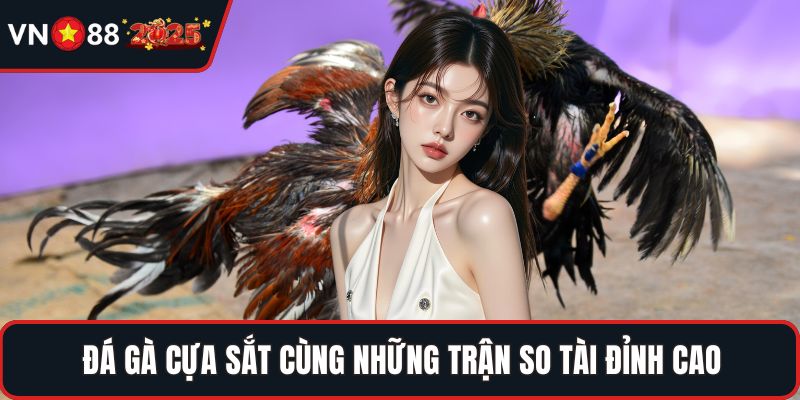 Đá gà cựa sắt cùng những trận so tài đỉnh cao