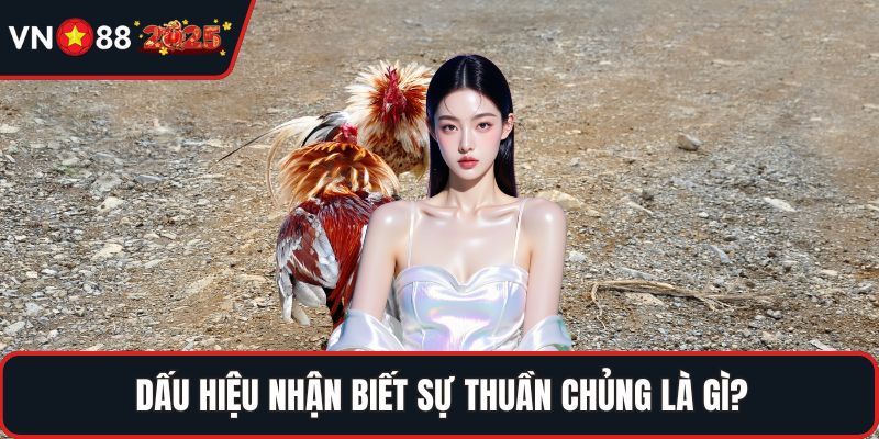 Dấu hiệu nhận biết sự thuần chủng là gì?