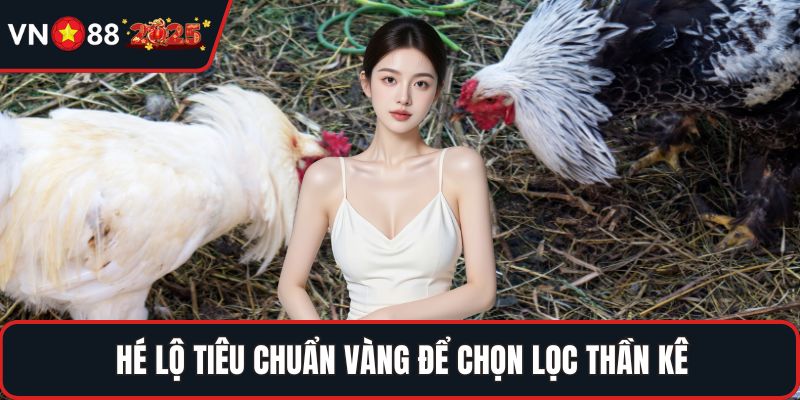 Hé lộ tiêu chuẩn vàng để chọn lọc thần kê
