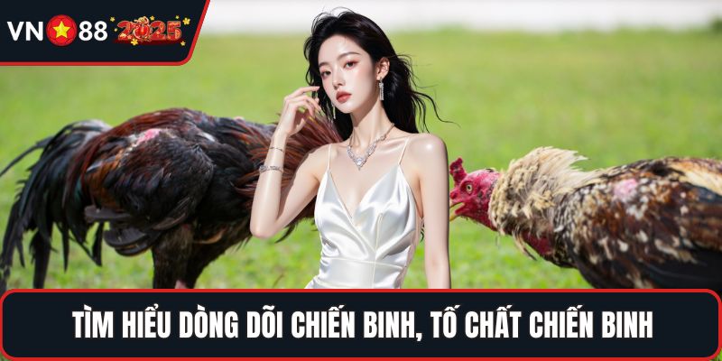 Tìm hiểu dòng dõi chiến binh, tố chất chiến binh